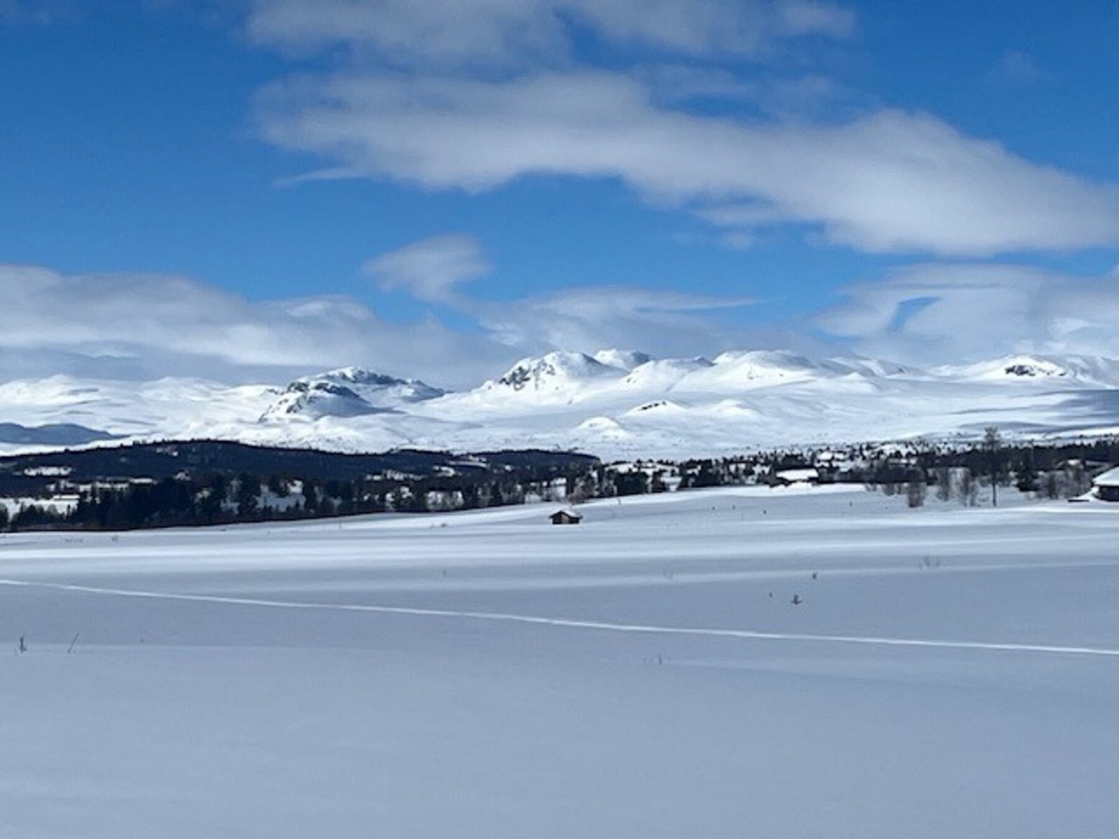 Selgers private bilde Galleribilde