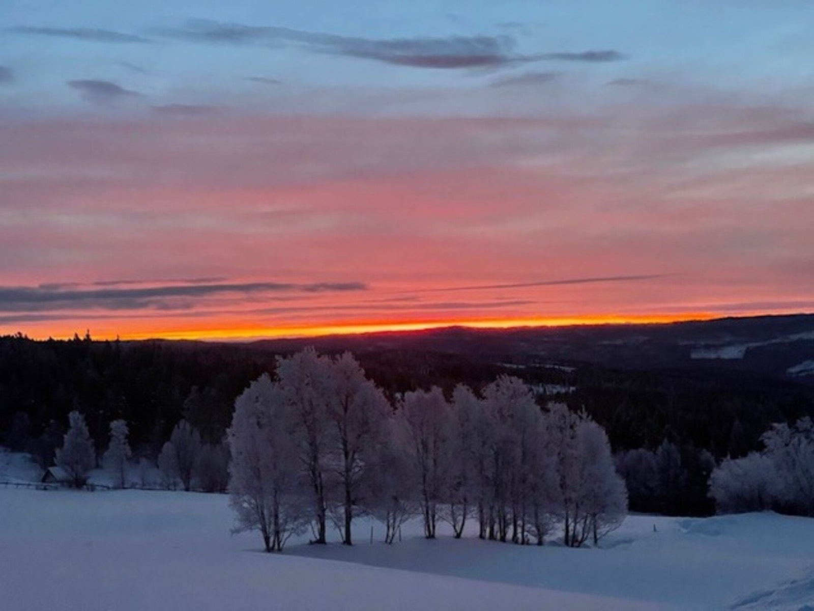 Selgers private bilde Galleribilde