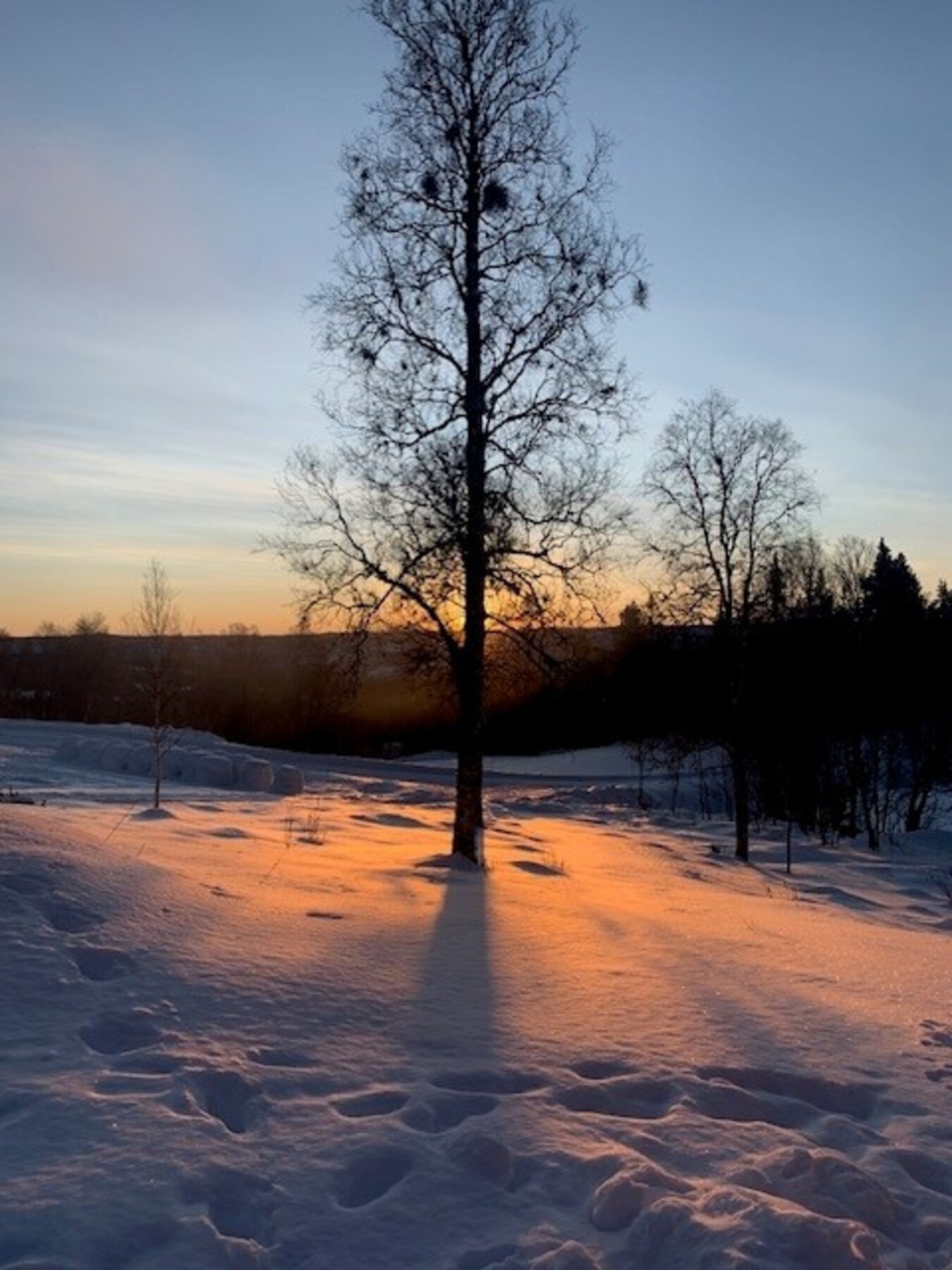 Selgers private bilde Galleribilde