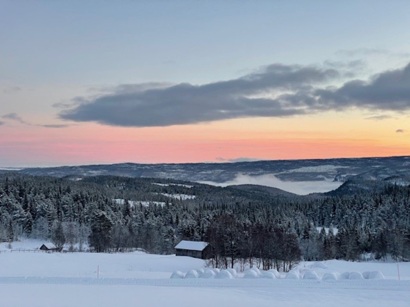 Selgers private bilde Galleribilde