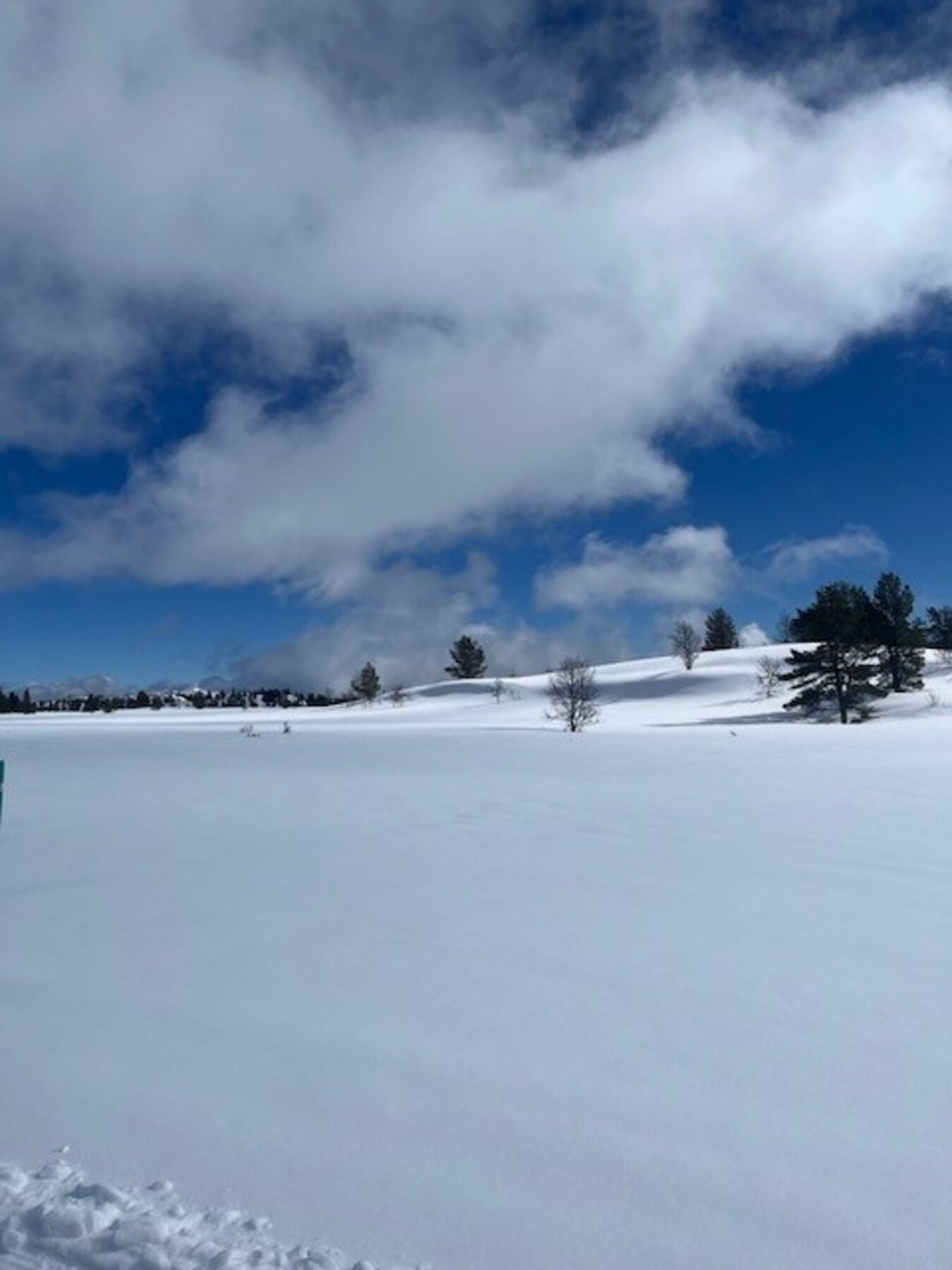 Selgers private bilde Galleribilde