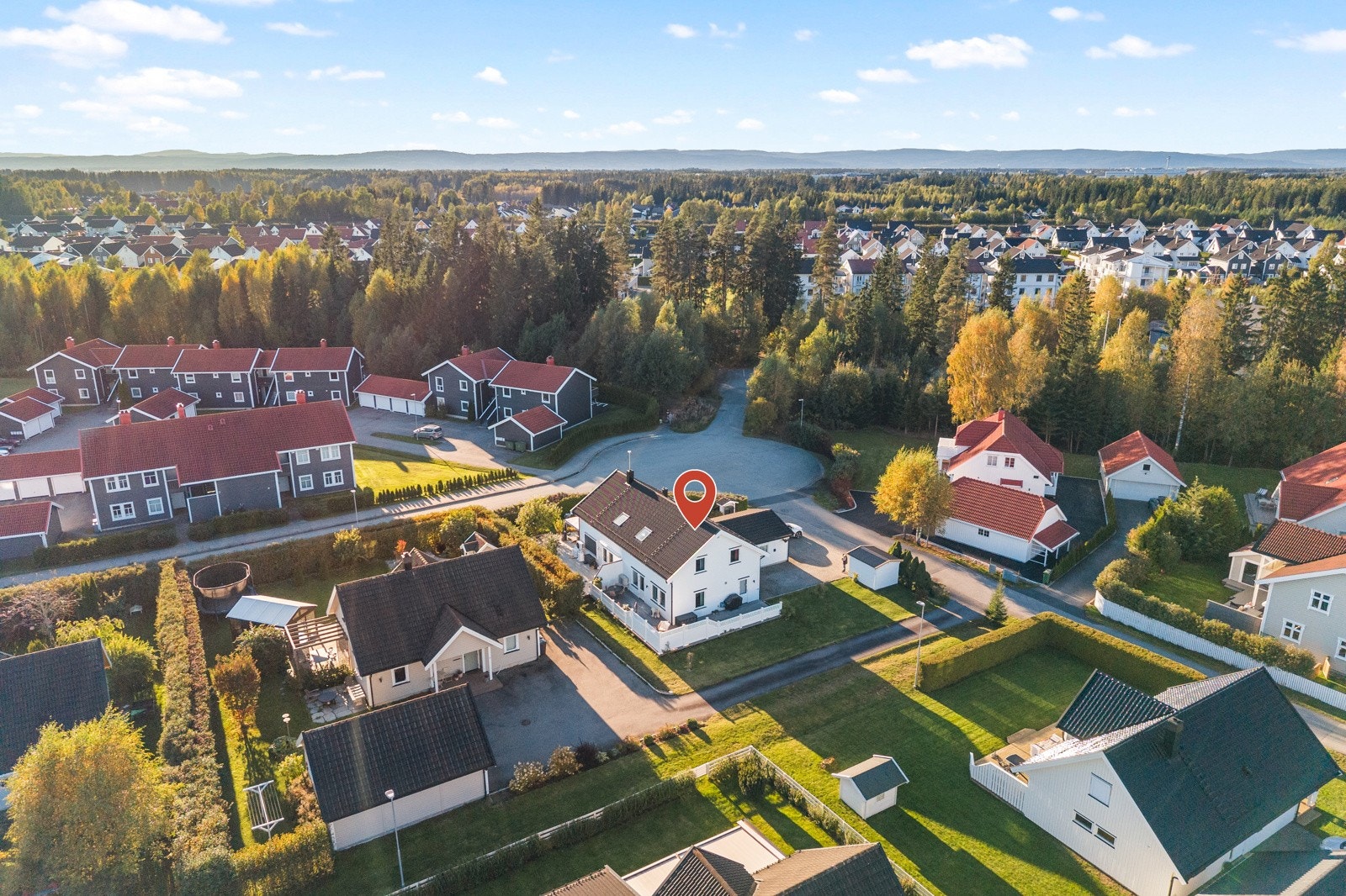 Dronebilde over nærområdet. Galleribilde