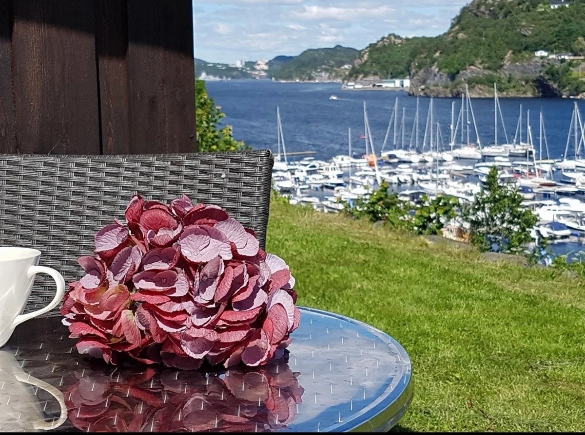 Utsikt retning Haakonsvern Galleribilde