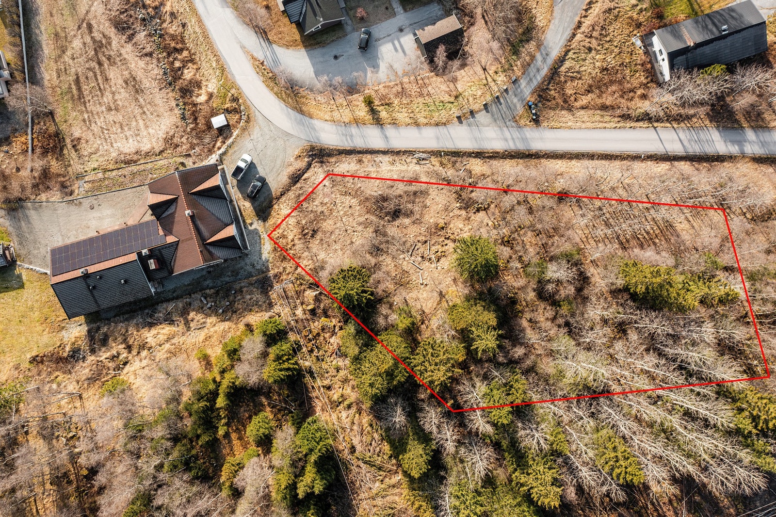 Oversiktsbilde av tomten. Galleribilde