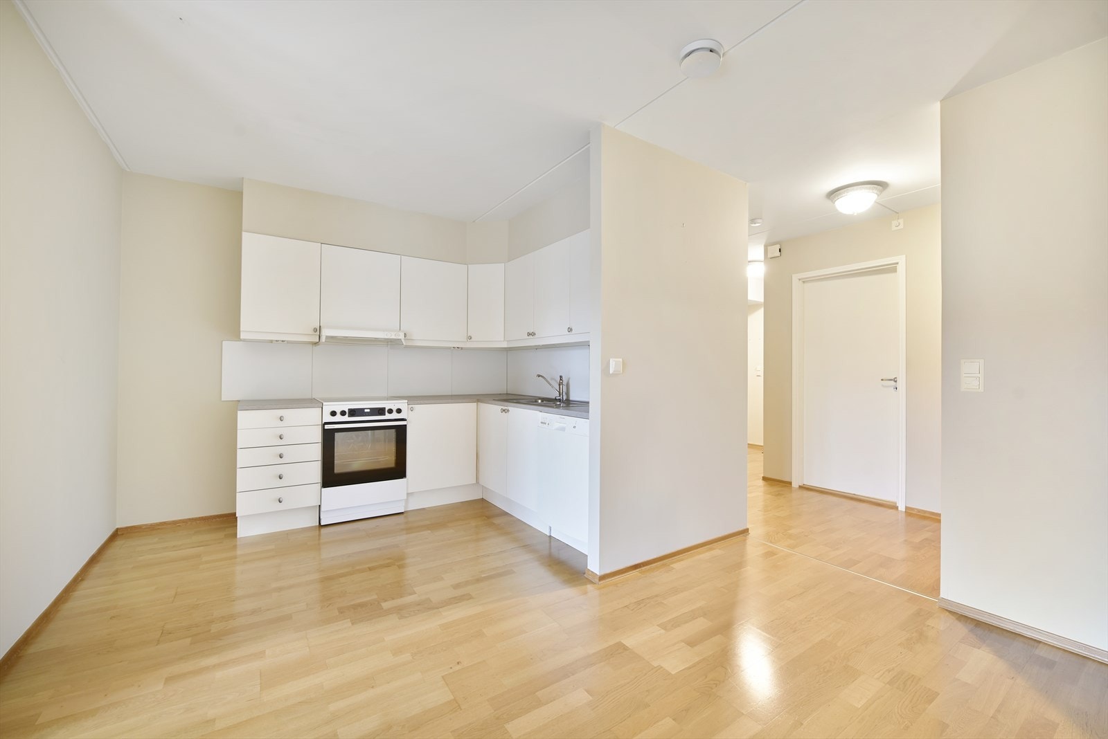 Oppvaskmaskin og komfyr medfølger i salget Galleribilde