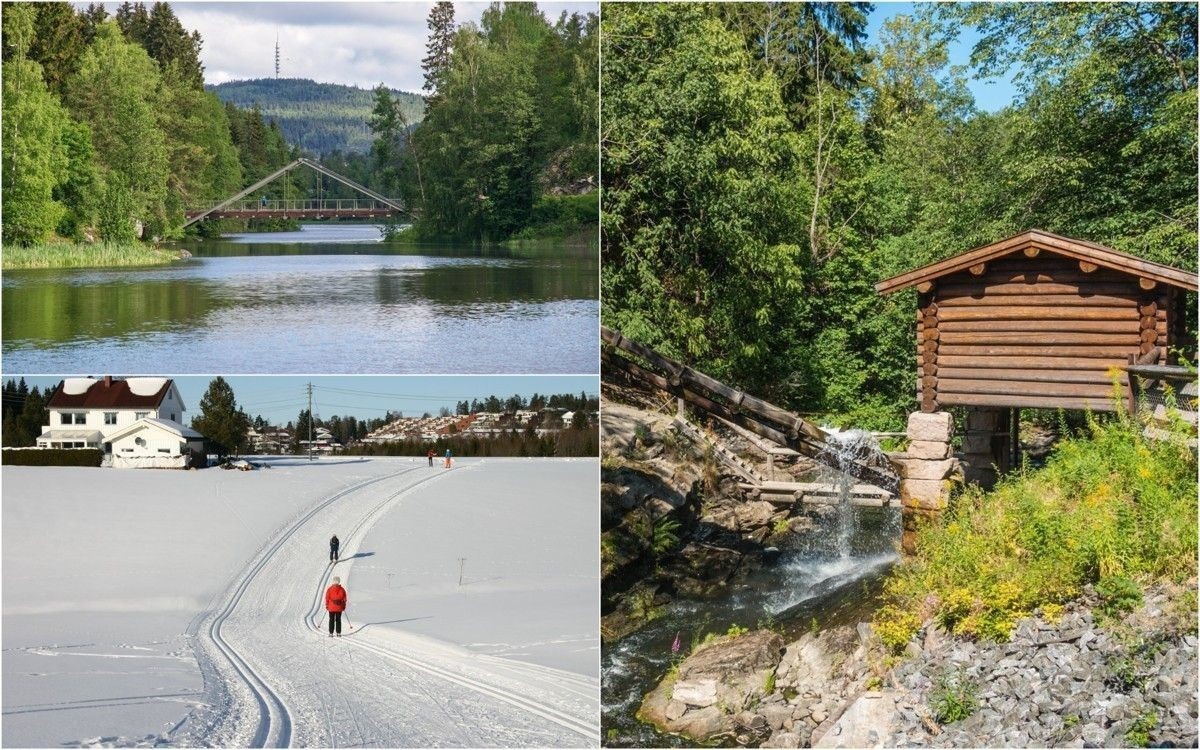 I nærherten av boligen finnes flere flotte turalternativer året rundt. Galleribilde