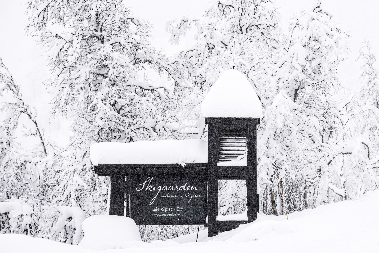 Høyt til værs, i hjertet av Hemsedal Skisenter. Her finner du Skigaarden. Foto: Aurelijus Norvaisas. Galleribilde