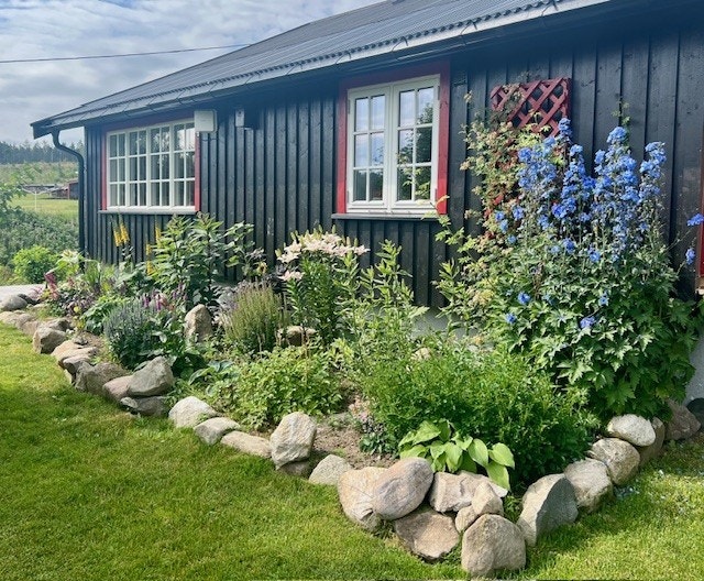 Beddareal. Galleribilde