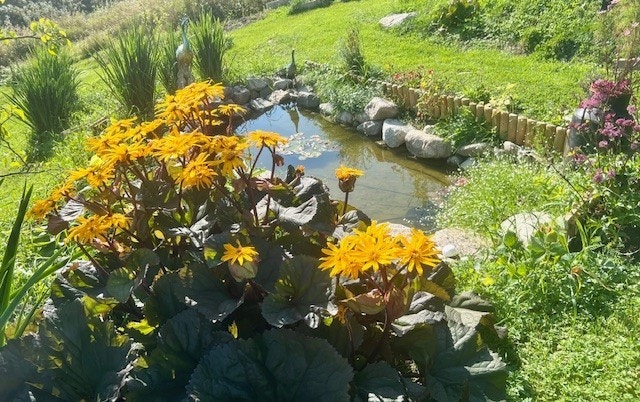Nedenfor terrassen er det opparbeidet en dam. Galleribilde