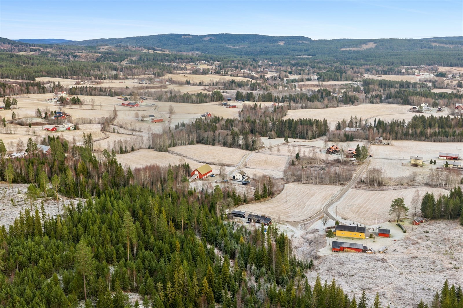 Nærområde Galleribilde