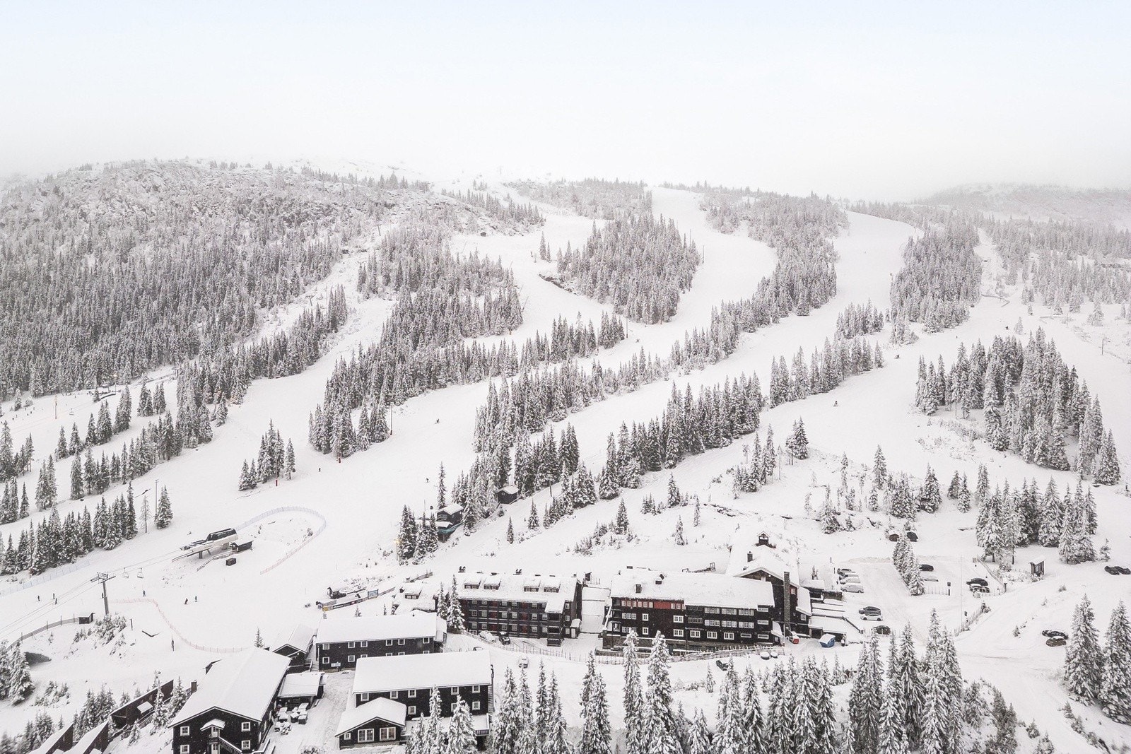 Velkommen til visning! Galleribilde