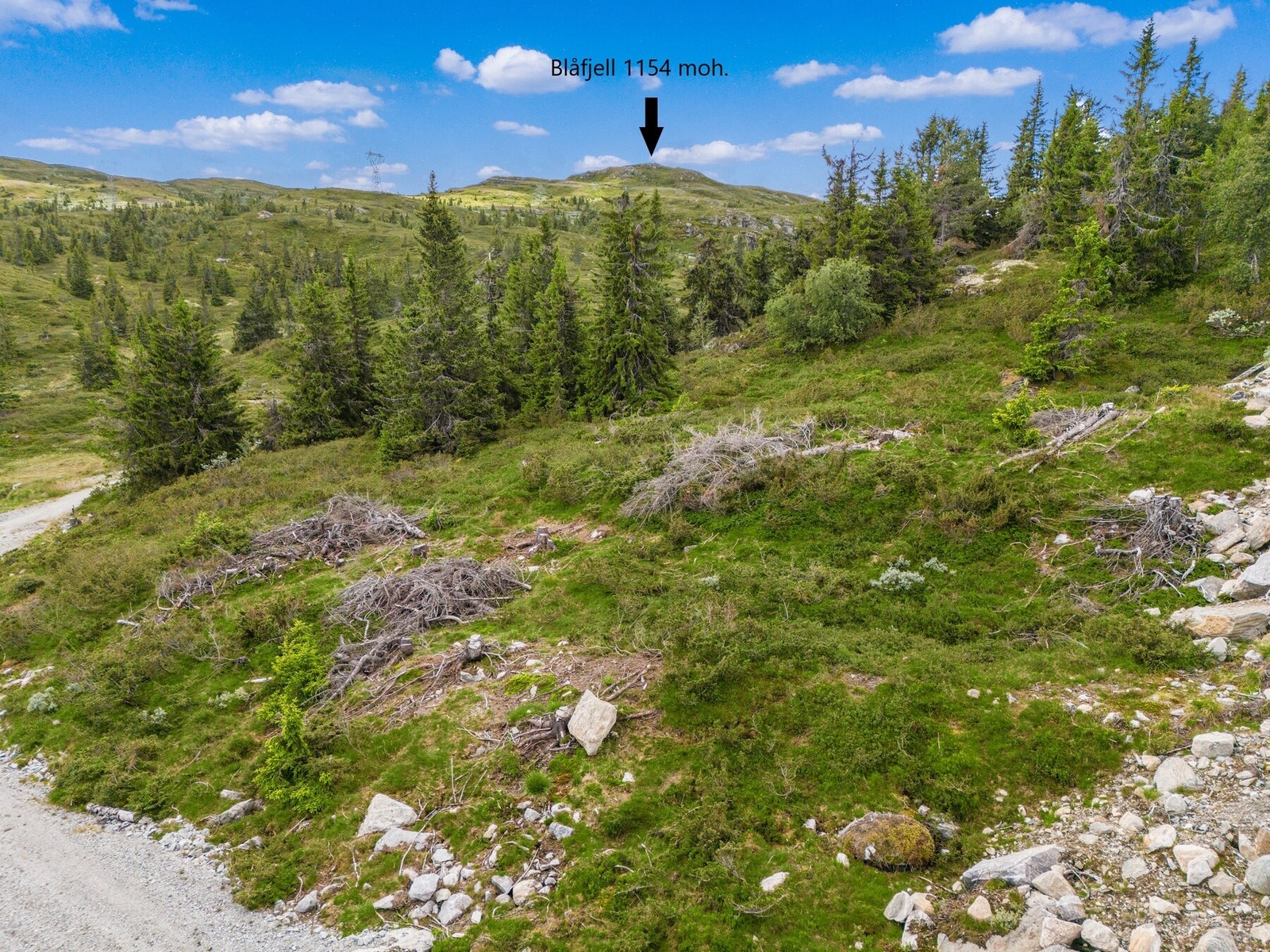 Fin utsikt og kort vei til Liemarkas høyeste punkt, Blåfjell Galleribilde