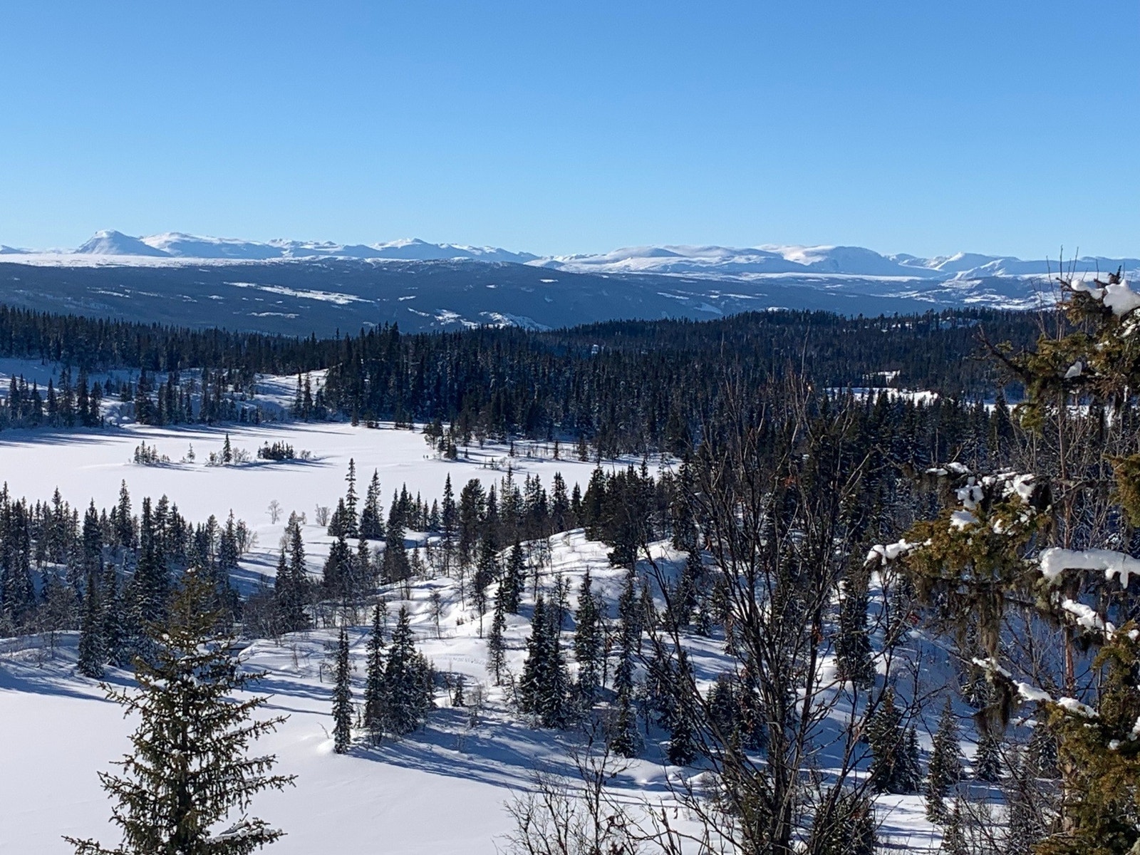 Ønsker en å kjøre alpint ligger Valdres største alpinsenter like ved. Dette er et flott skianlegg som ligger midt i Aurdalsåsen, et område som er i stadig vekst. Galleribilde