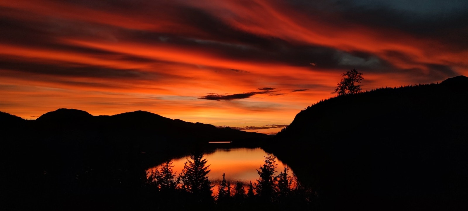 Foto: Selger Galleribilde