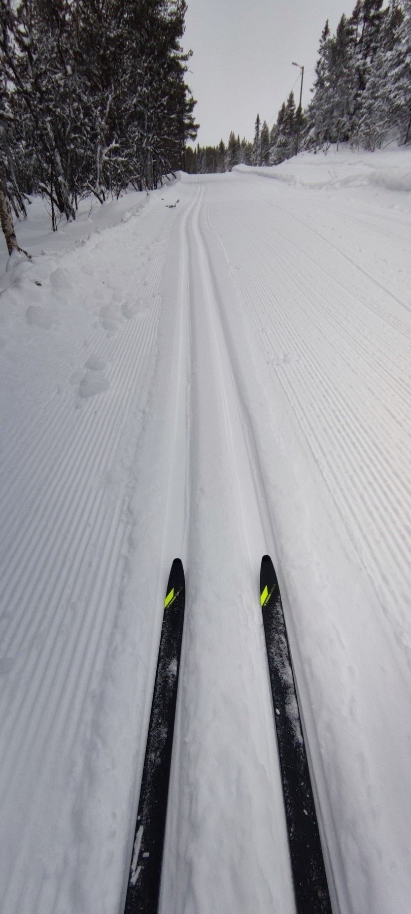 Foto; Selger Galleribilde