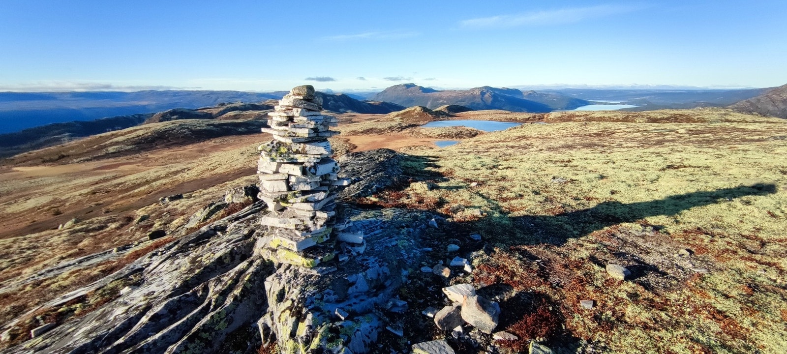 Foto; Selger Galleribilde