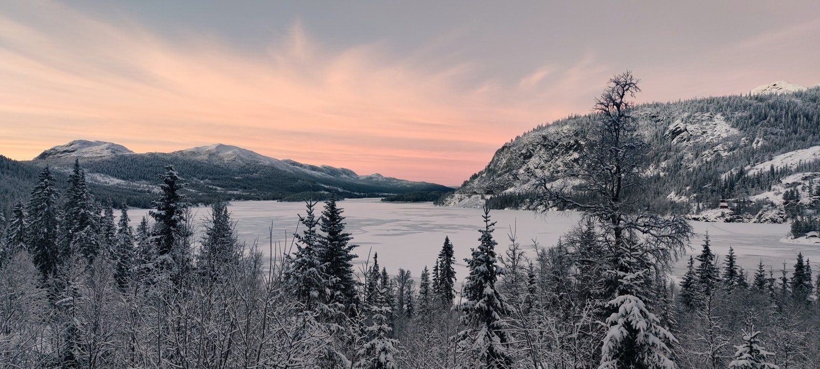 Foto: Selger. Galleribilde