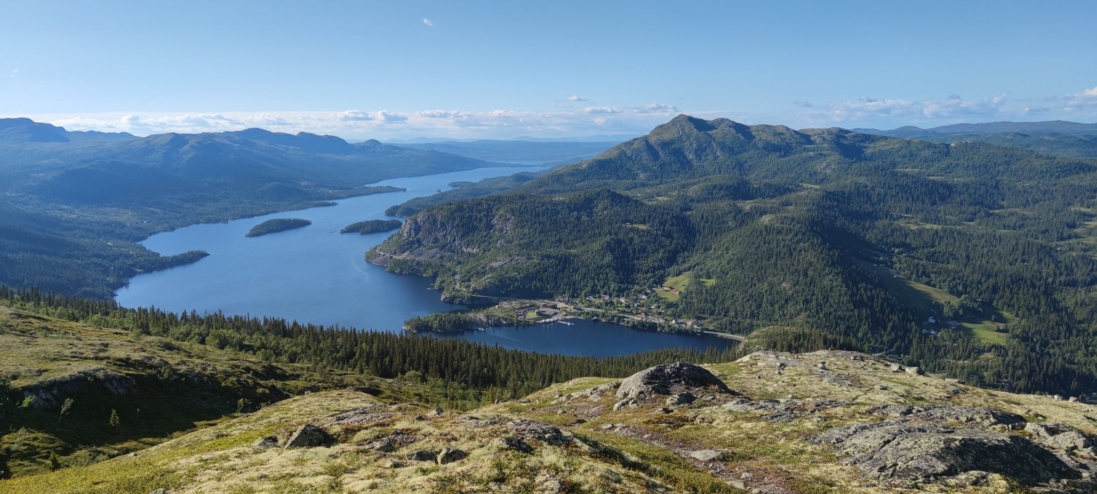 Foto: Selger Galleribilde