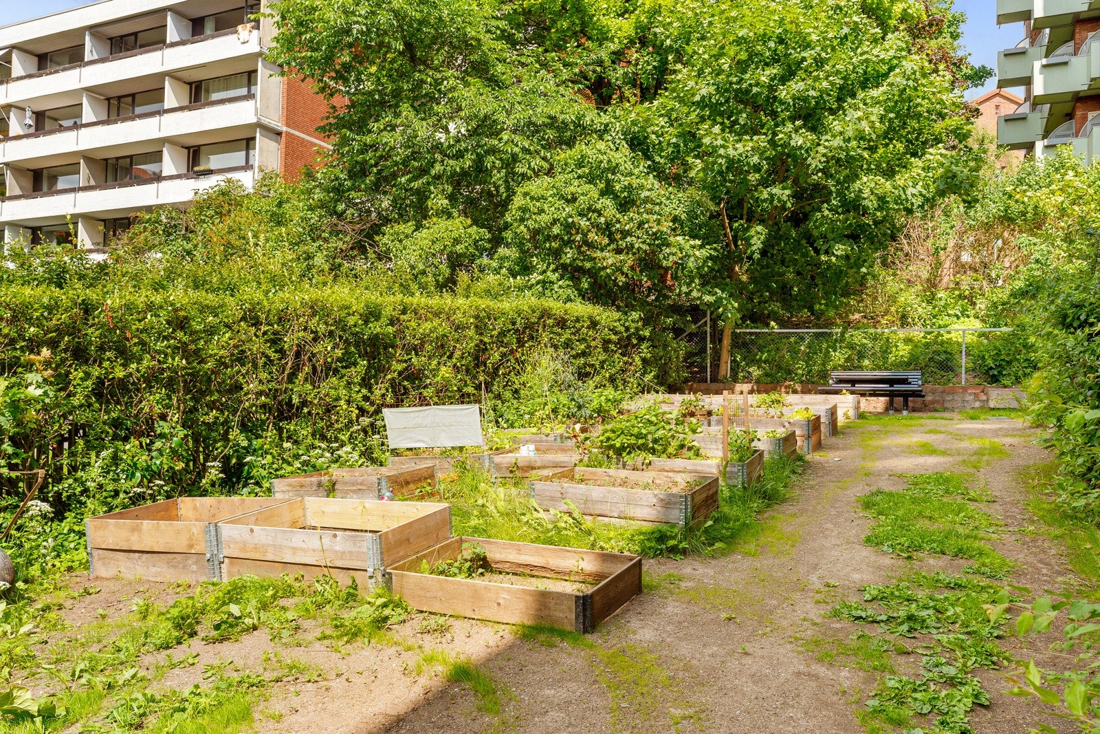 Her finner kan du dyrke både urter og grønnsaker! Galleribilde