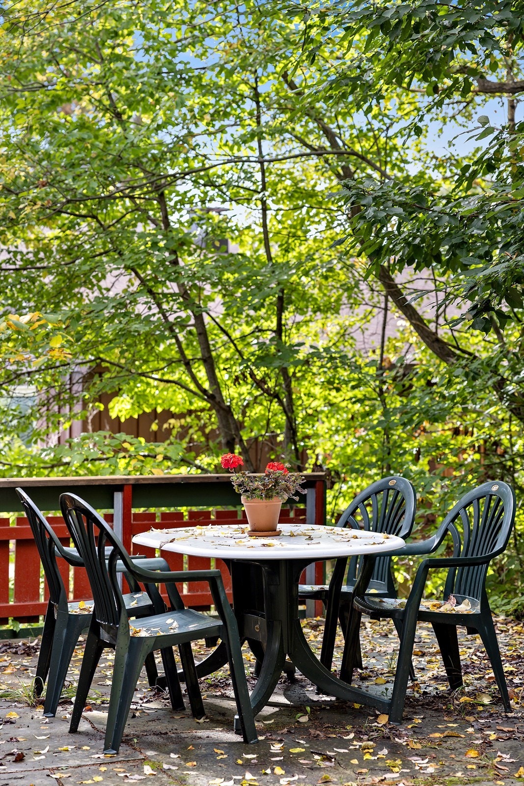 Uteplassene er lune og fine, godt skjermet av løvtrær Galleribilde