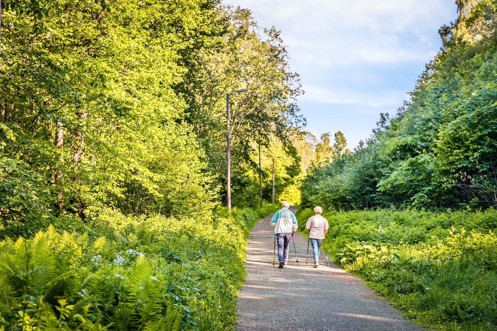 Området er omgitt av vakker natur som gir gode muligheter for turgåing, syklig og skiturer Galleribilde