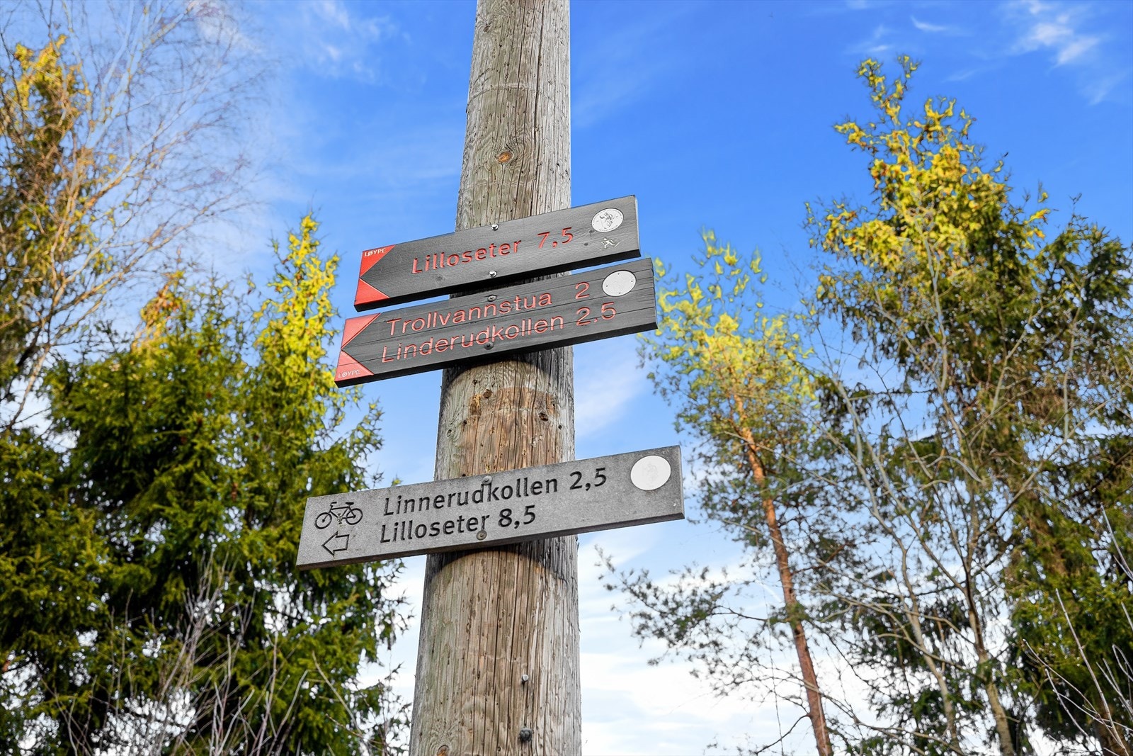 Fantastiske Lillomarka ligger like ved leiligheten. Galleribilde