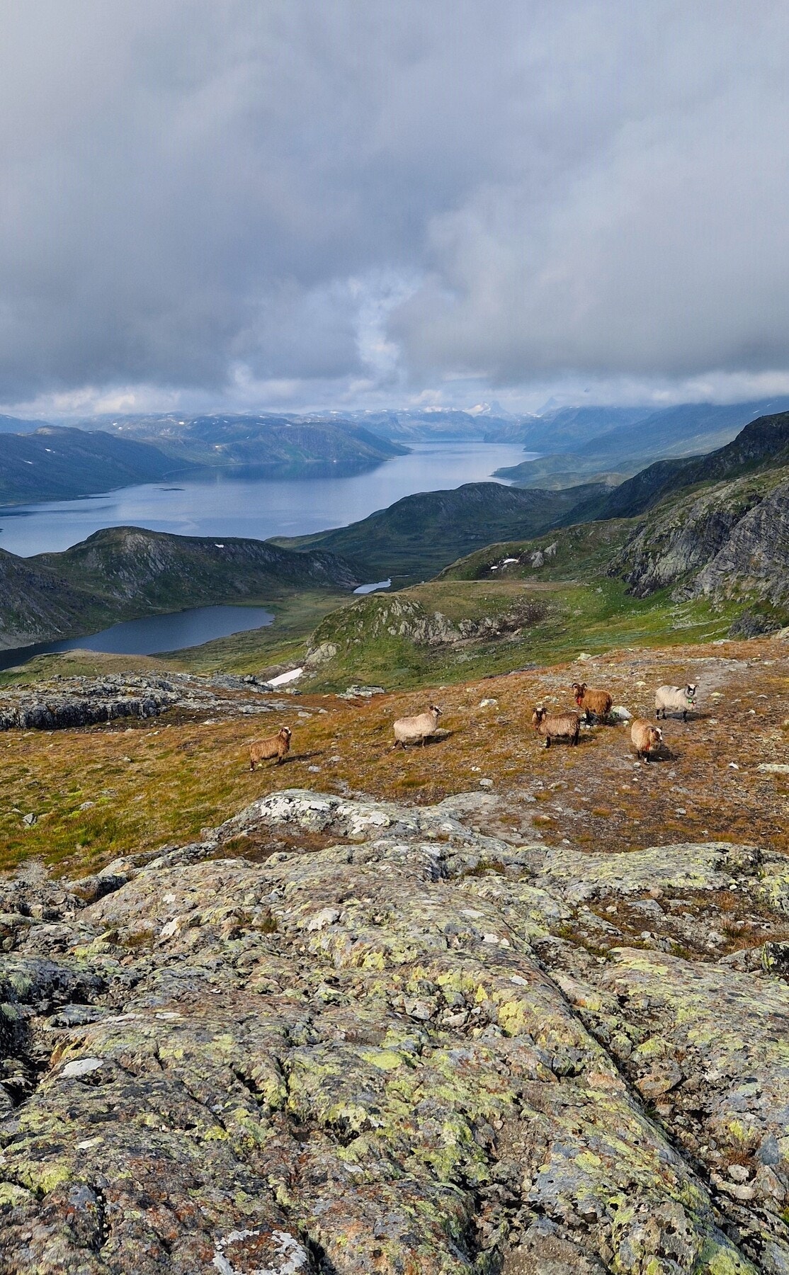 Om sommeren kan dette området tilby mange naturopplevelser i et variert terreng. Galleribilde