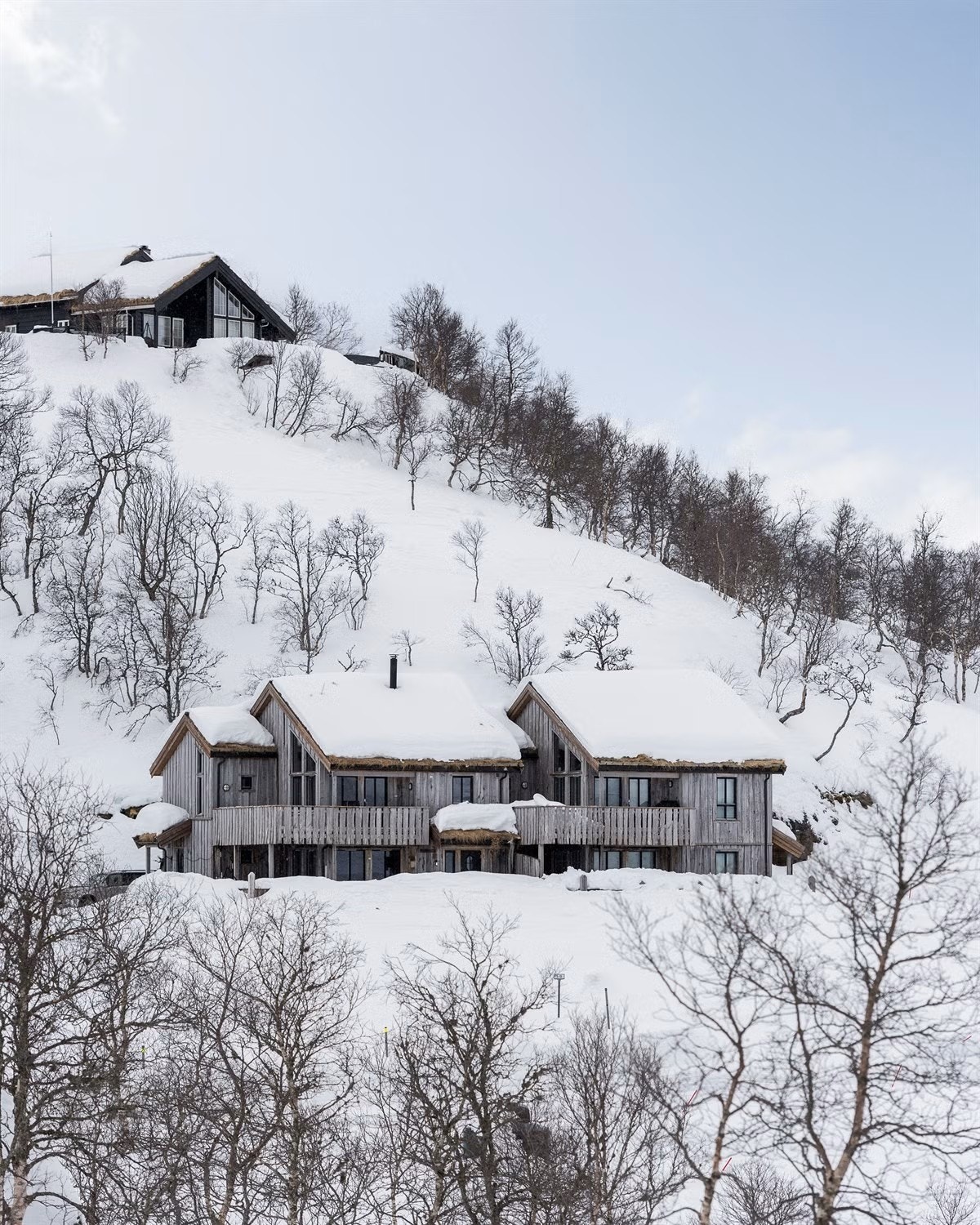 _2128849028.jpeg Galleribilde