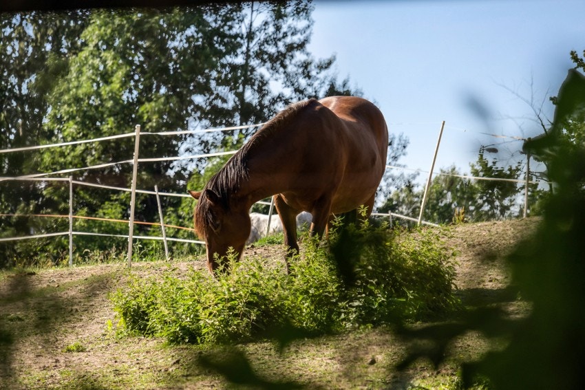 I gangavstand fra boligen finner du også Tveten gård og Nordre Skøyen hovedgård. Galleribilde