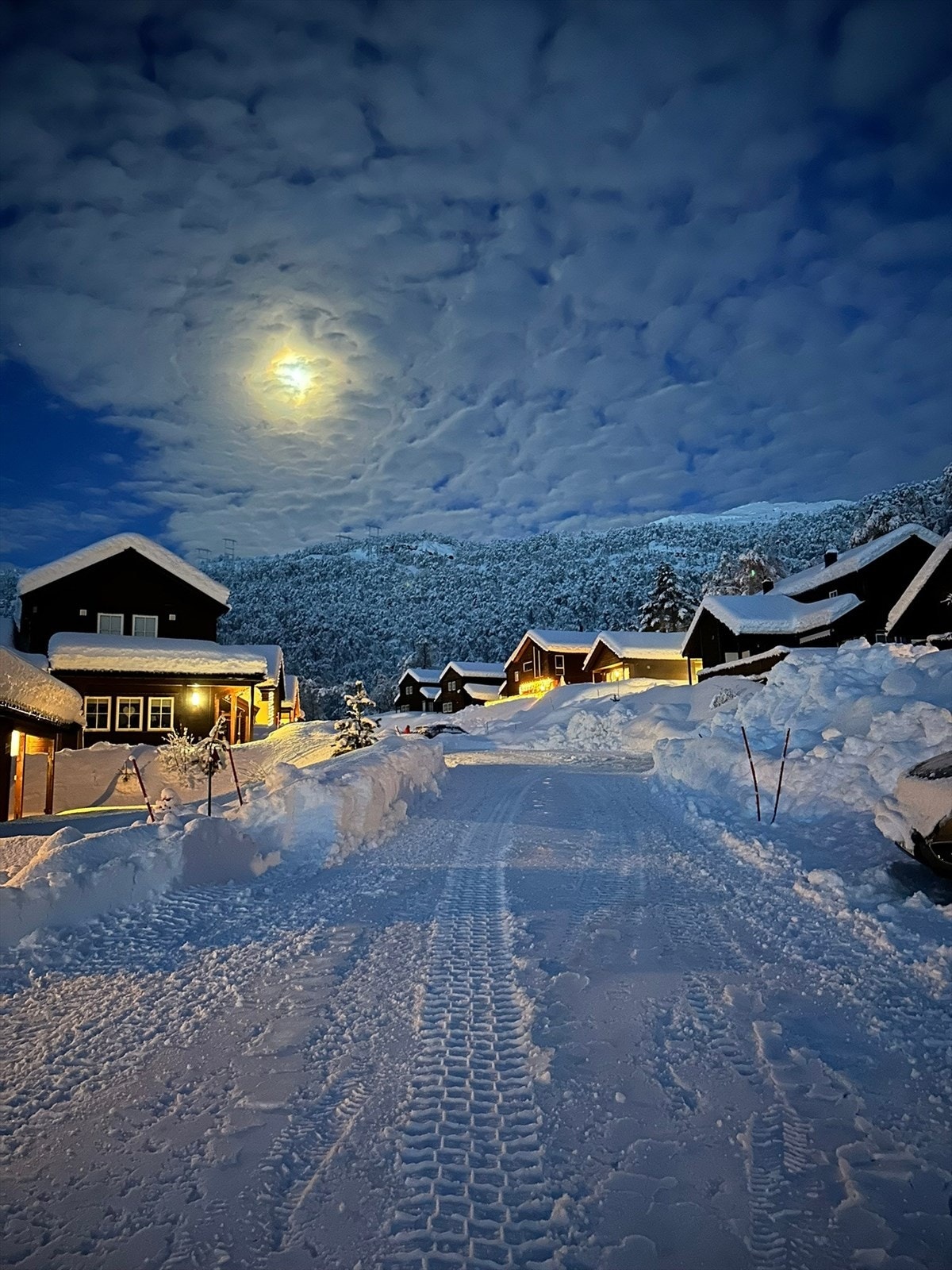 Vinterstemning Galleribilde