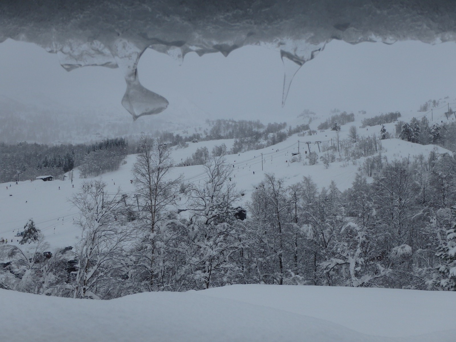 Utsikt mot skitrekket Galleribilde