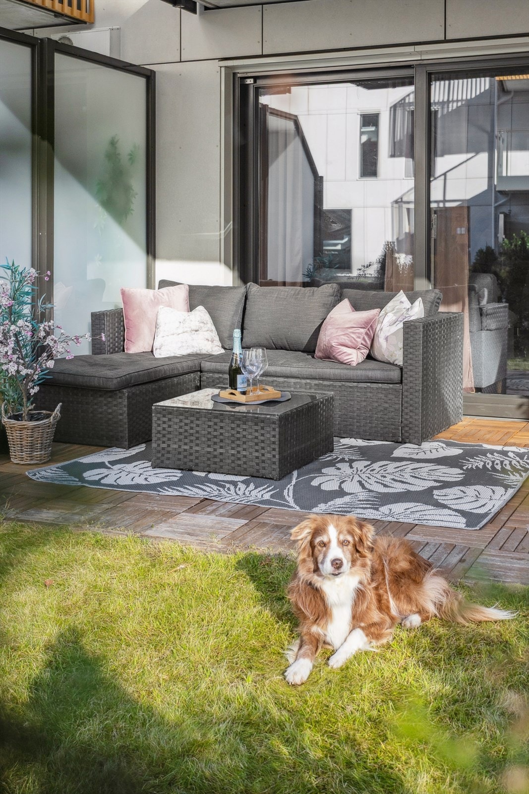 Uteområdet med Platting og gress perfekt for fine sommerdager. Galleribilde