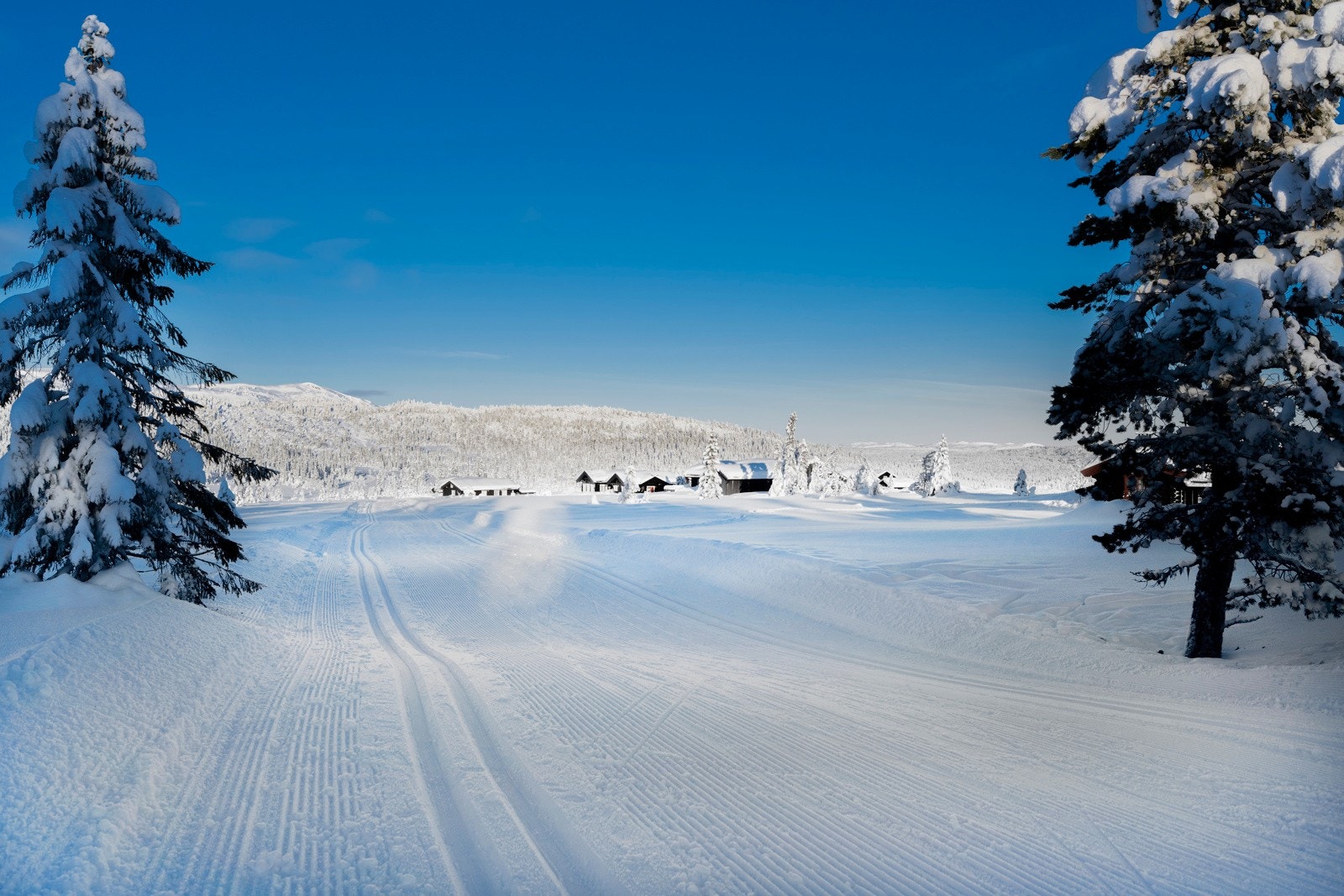 Flott løypenett i Hugulia, gå inn på f.eks skisporet for å se oversikt over løypene Galleribilde