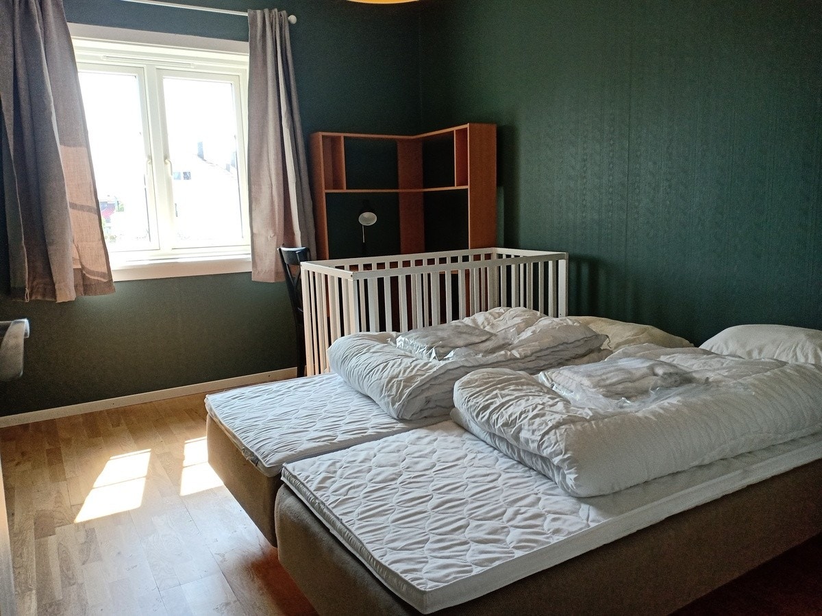 UTLEID 5500 Galleribilde