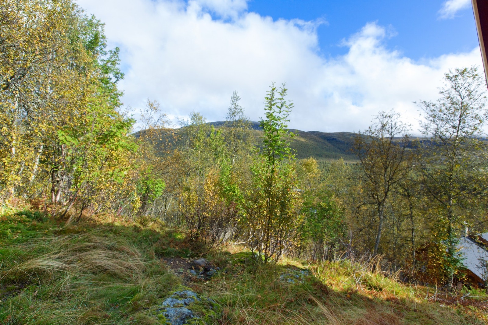 Koselig hytteeiendom med meget fin og usjenert beliggenhet, ca 840 moh på Tyinkrysset på Filefjell i Vang kommune Galleribilde
