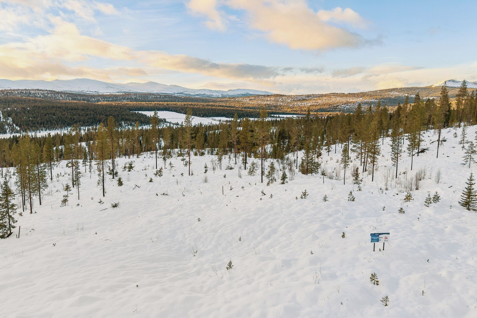 Den høytliggende og frie plasseringen gir gode solforhold gjennom dagen. Galleribilde