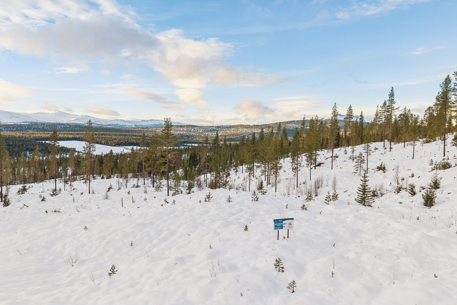 Eiendommen ligger i lett skrånende terreng, som gir gode muligheter for plassering av hytta. Galleribilde