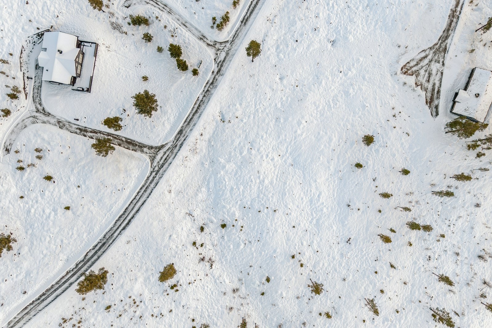 Velkommen til Harestubben 6! Galleribilde