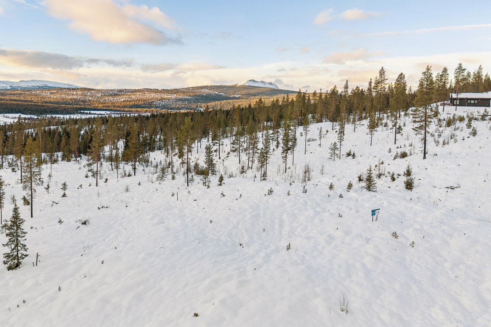 Her kan du bygge med god avstand til naboer og med naturen som nærmeste holdepunkt. Galleribilde