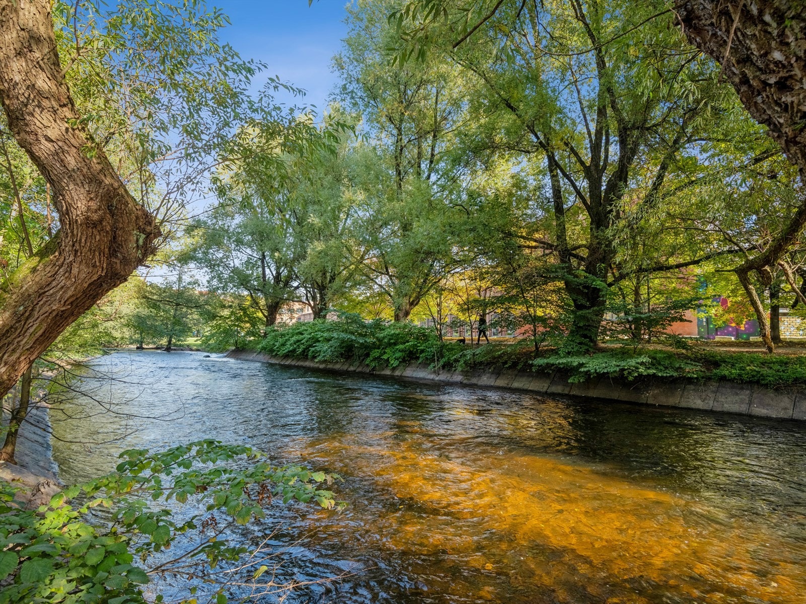 En kort spasertur i fine omgivelser langs Akerselva og du ender opp på Grünerløkka eller i Nydalen. Galleribilde