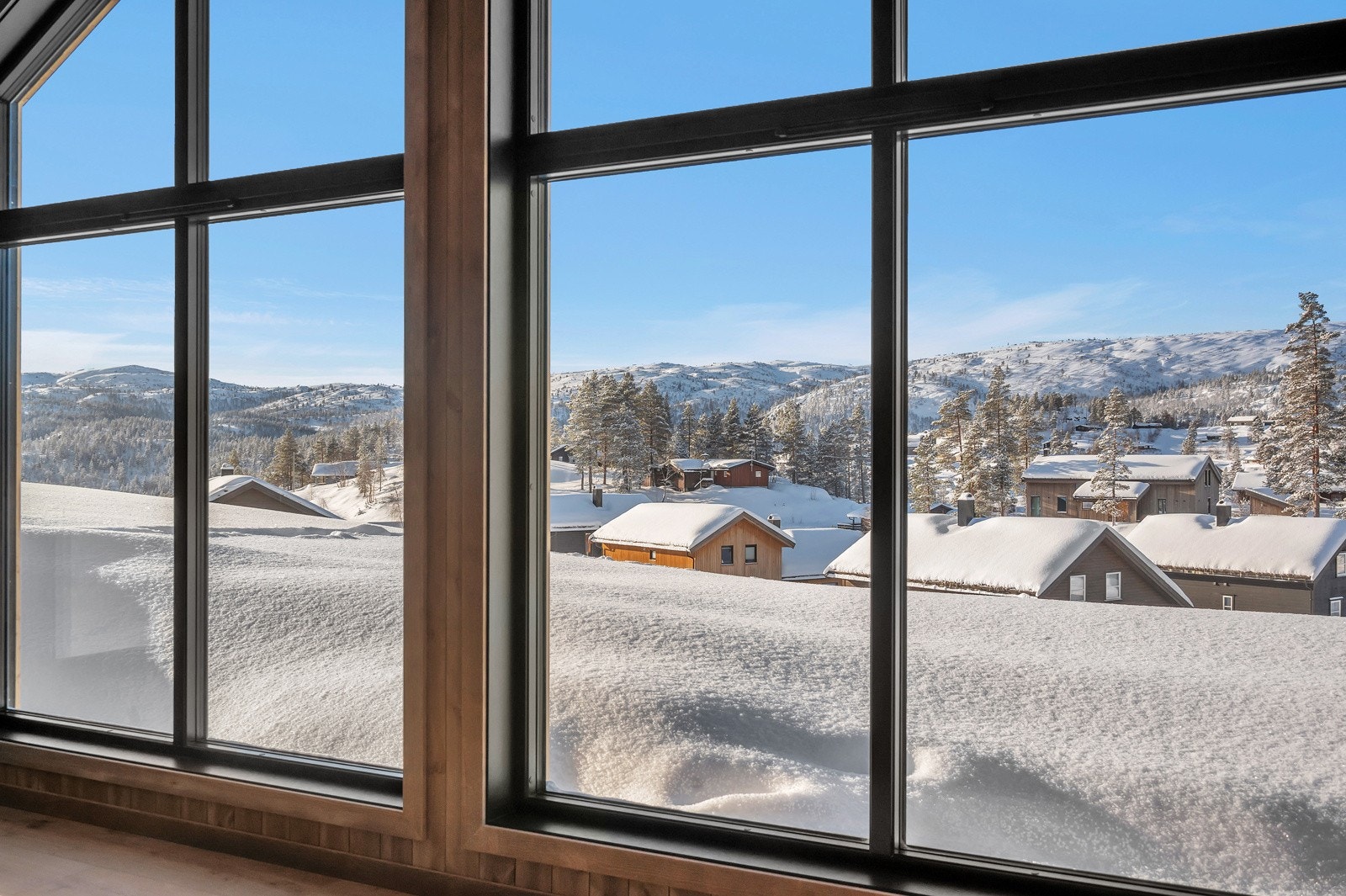 assignment-13801-1707383079733 Galleribilde