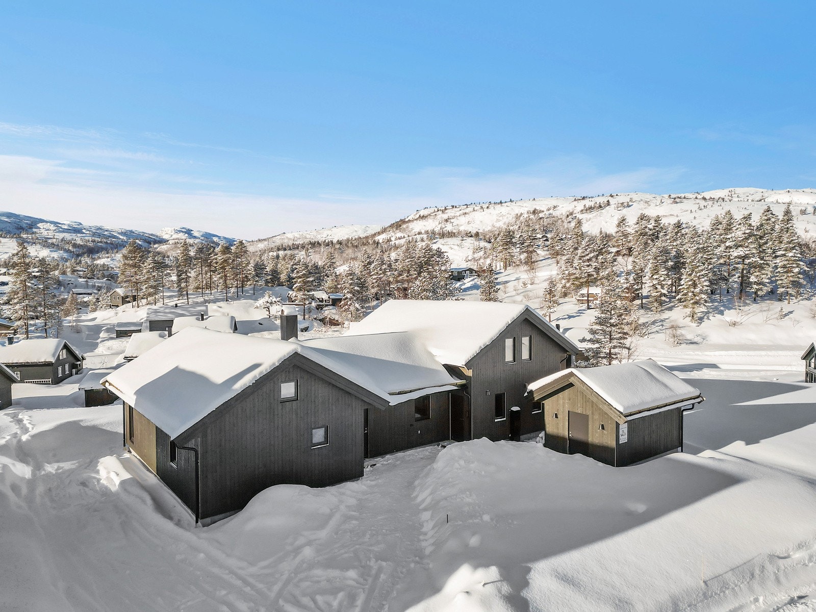 assignment-13801-1707383051181 Galleribilde