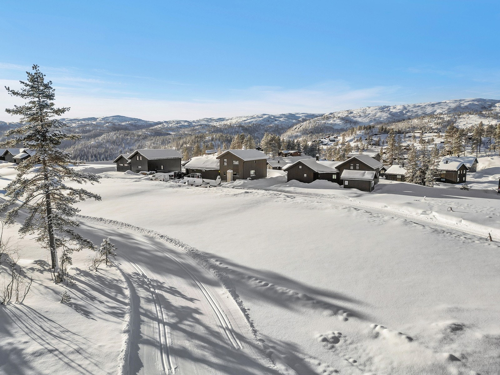 assignment-13801-1707383054086 Galleribilde