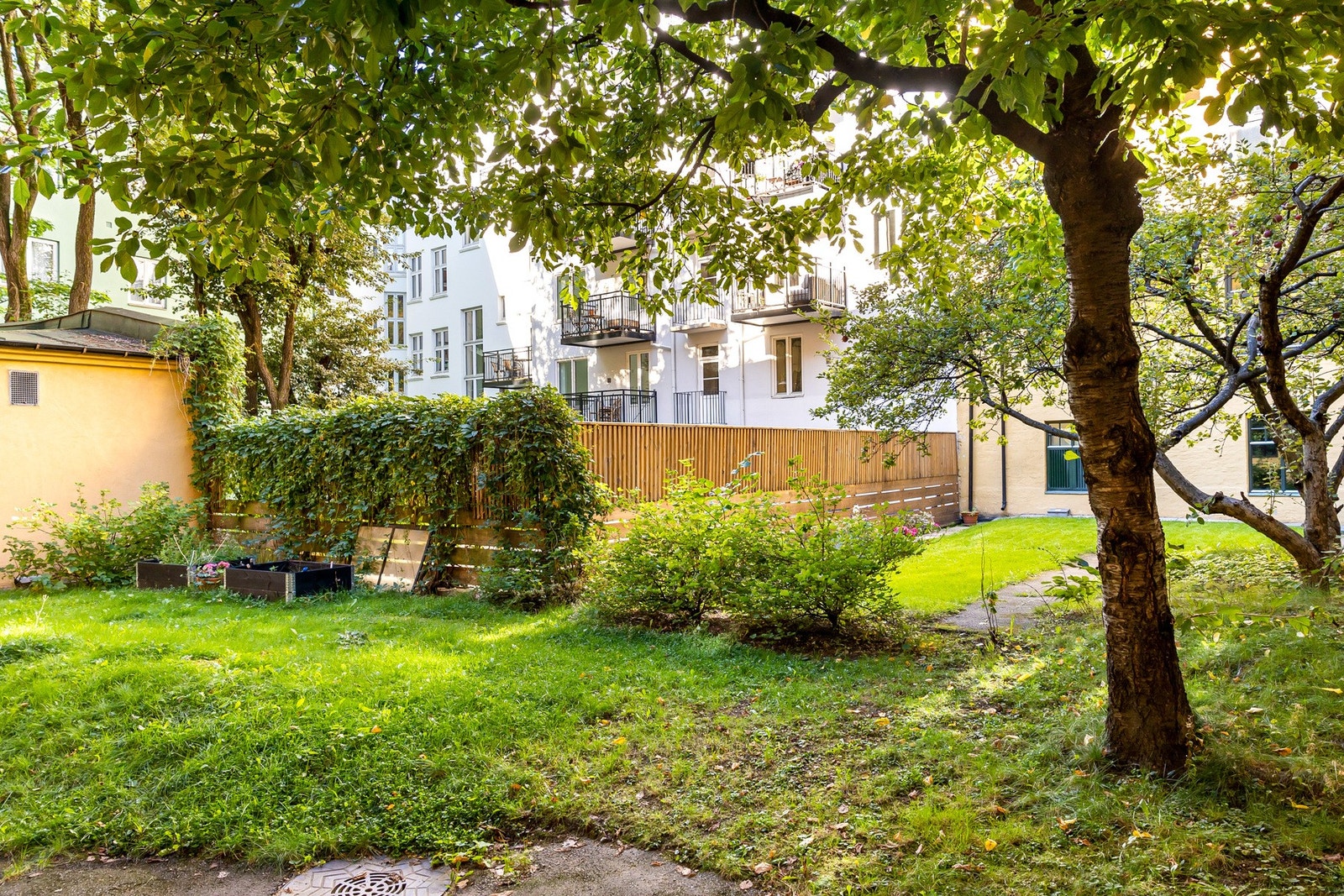 Grønt og frodig! Galleribilde