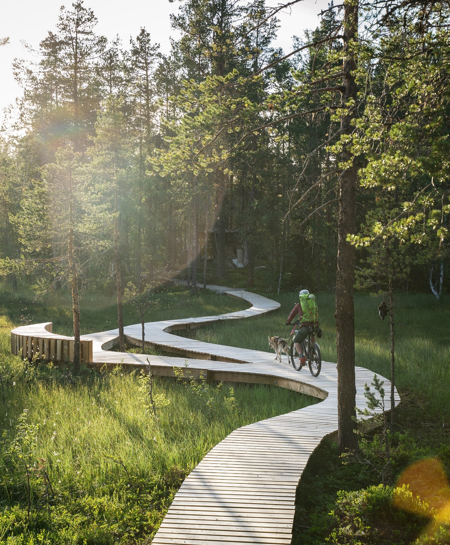 Sykkelstien Trekrypern. Foto: Lars Storheim. Galleribilde