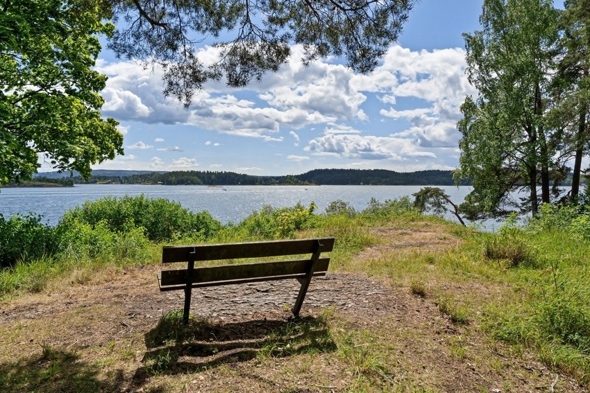 Nærområde Galleribilde