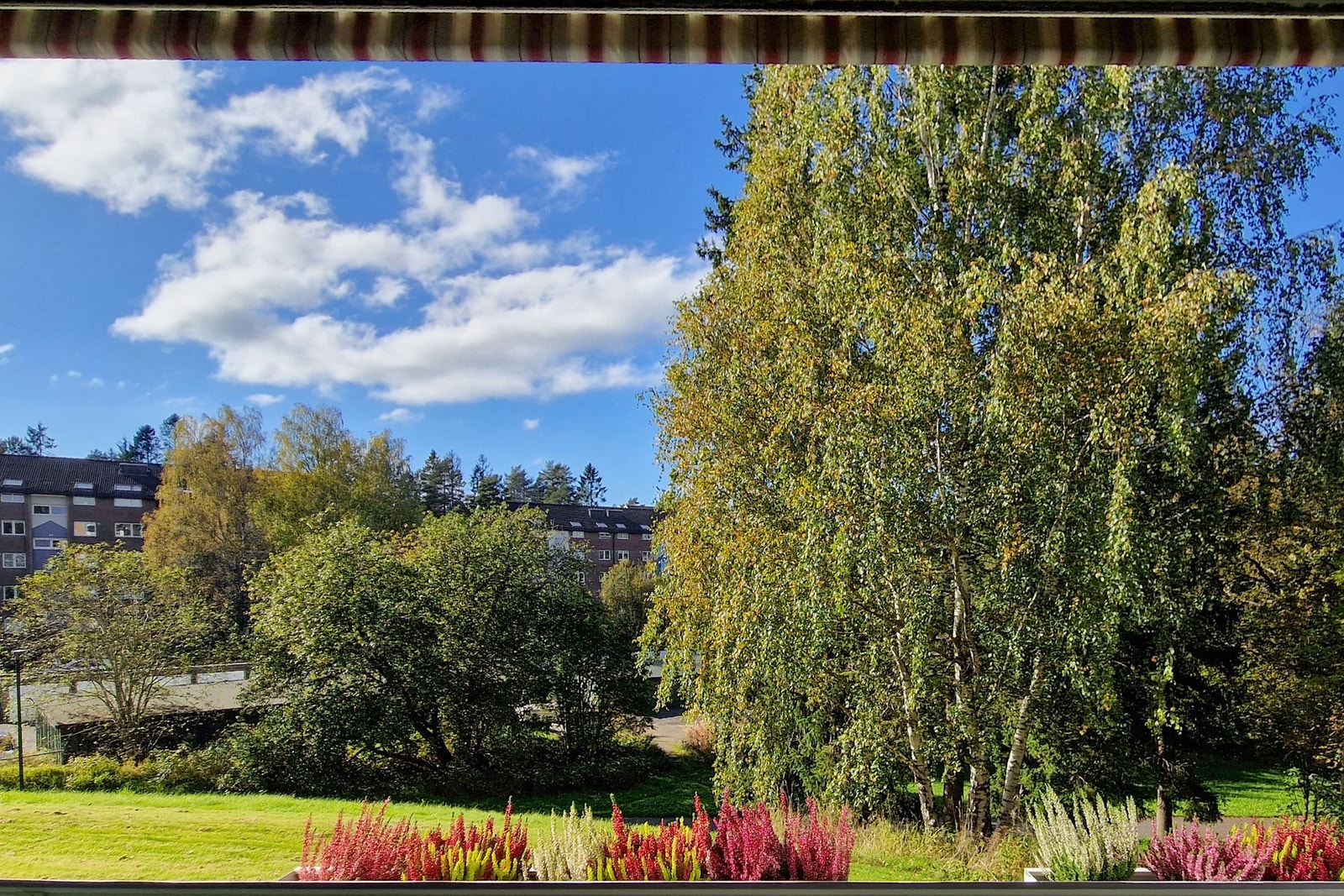 Utsikten fra balkongen sommerstid. Galleribilde