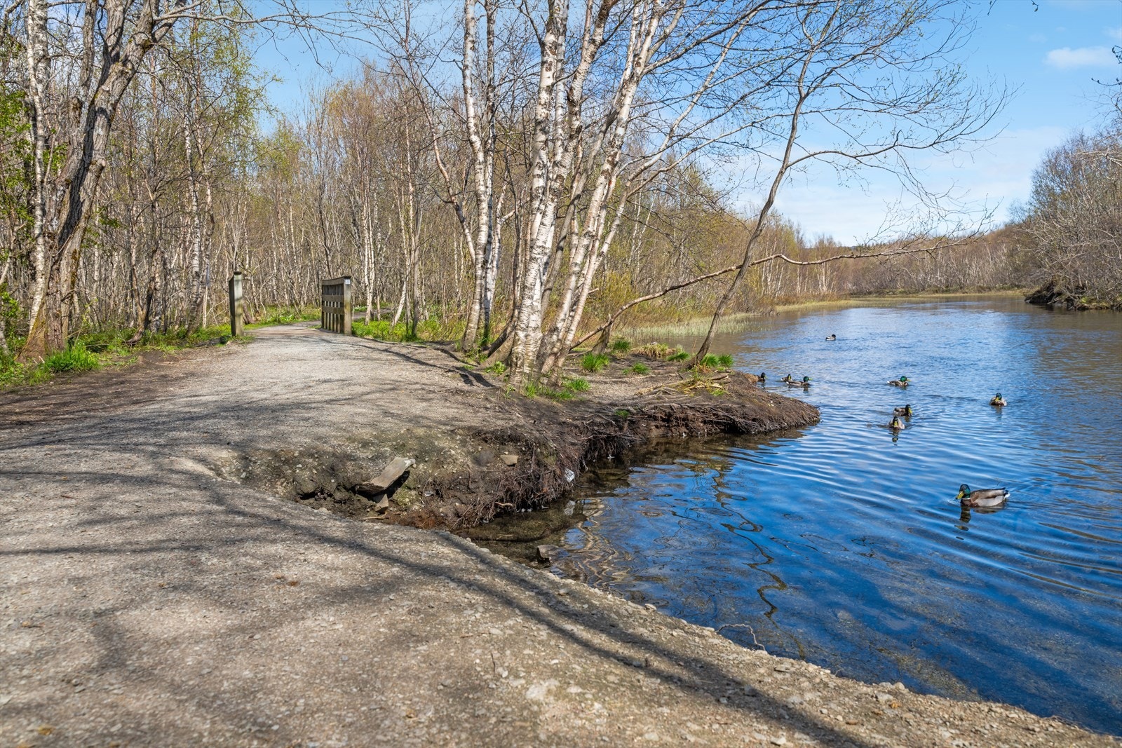 Flotte Futelva ligger innenfor gangavstand. Galleribilde