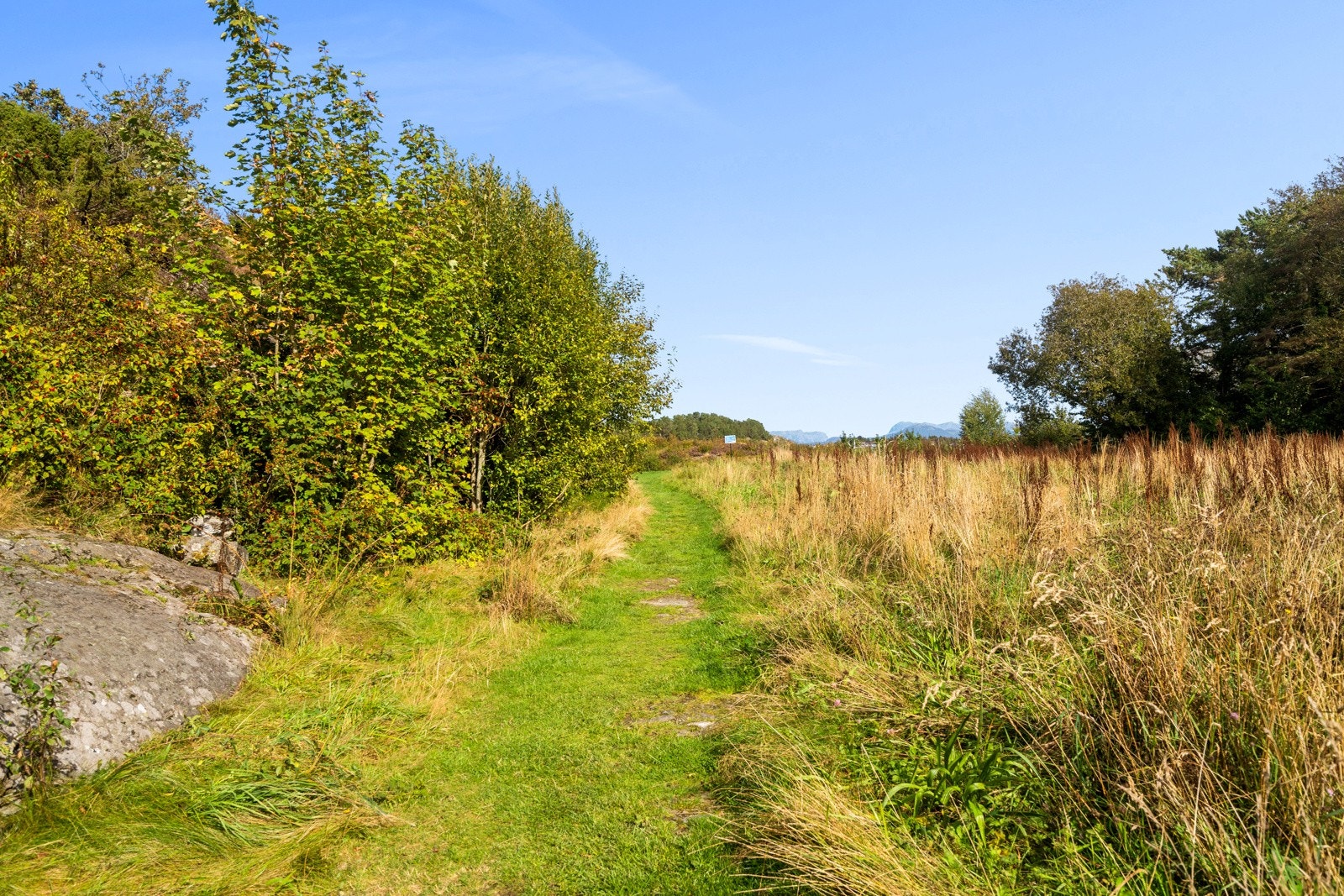 Nærområde. Galleribilde