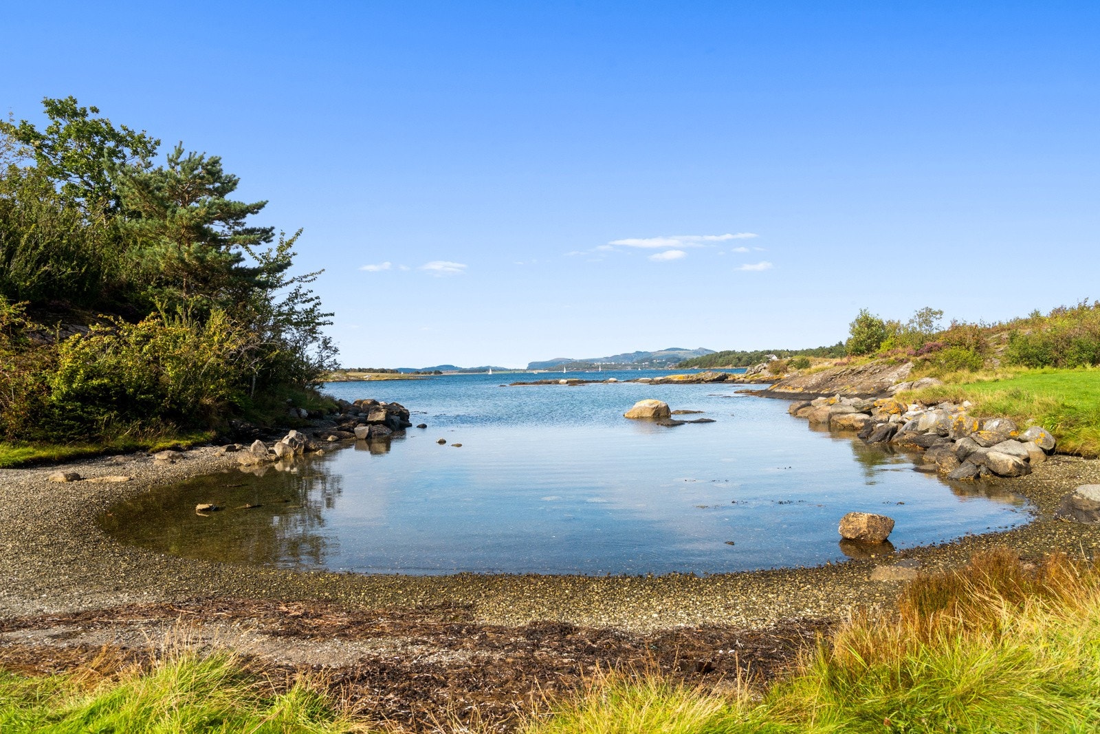 Nærområde. Galleribilde